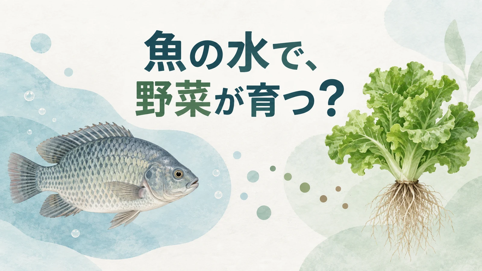魚と葉物野菜を並べ、魚の水で野菜が育つのかと問いかける大人向け2D編集画