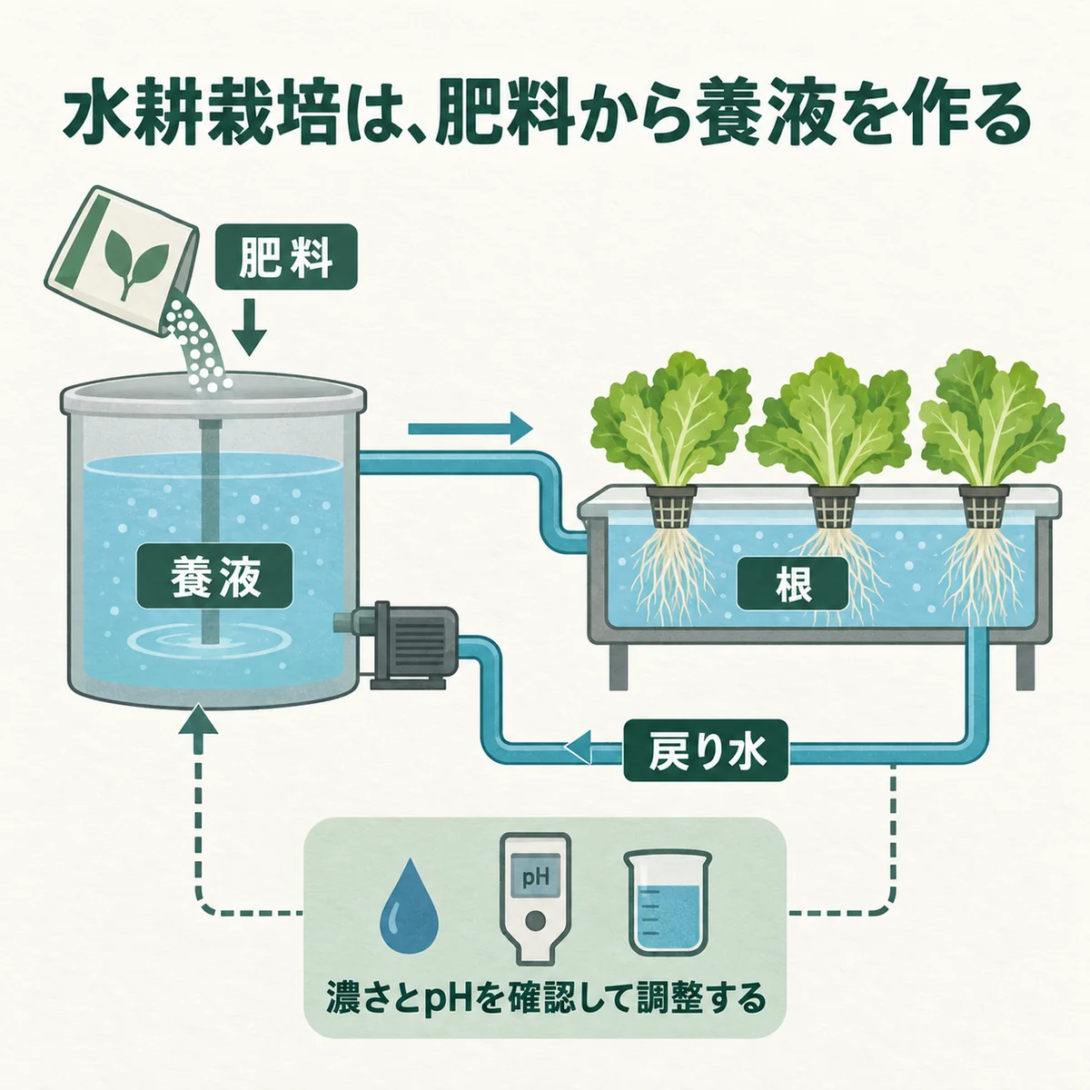 肥料タンク→養液→根→戻り水の経路