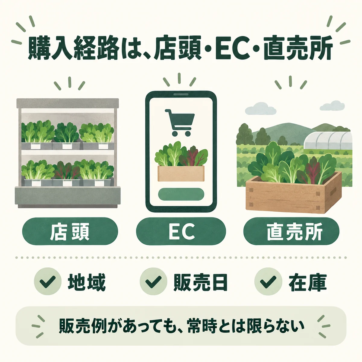 店頭・EC・直売所の三つの購入経路。実在店舗写真は使わない概念図