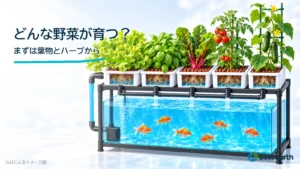 レタス、バジル、ケール、トマト、イチゴをアクアポニックス装置の周りに並べた3D図解