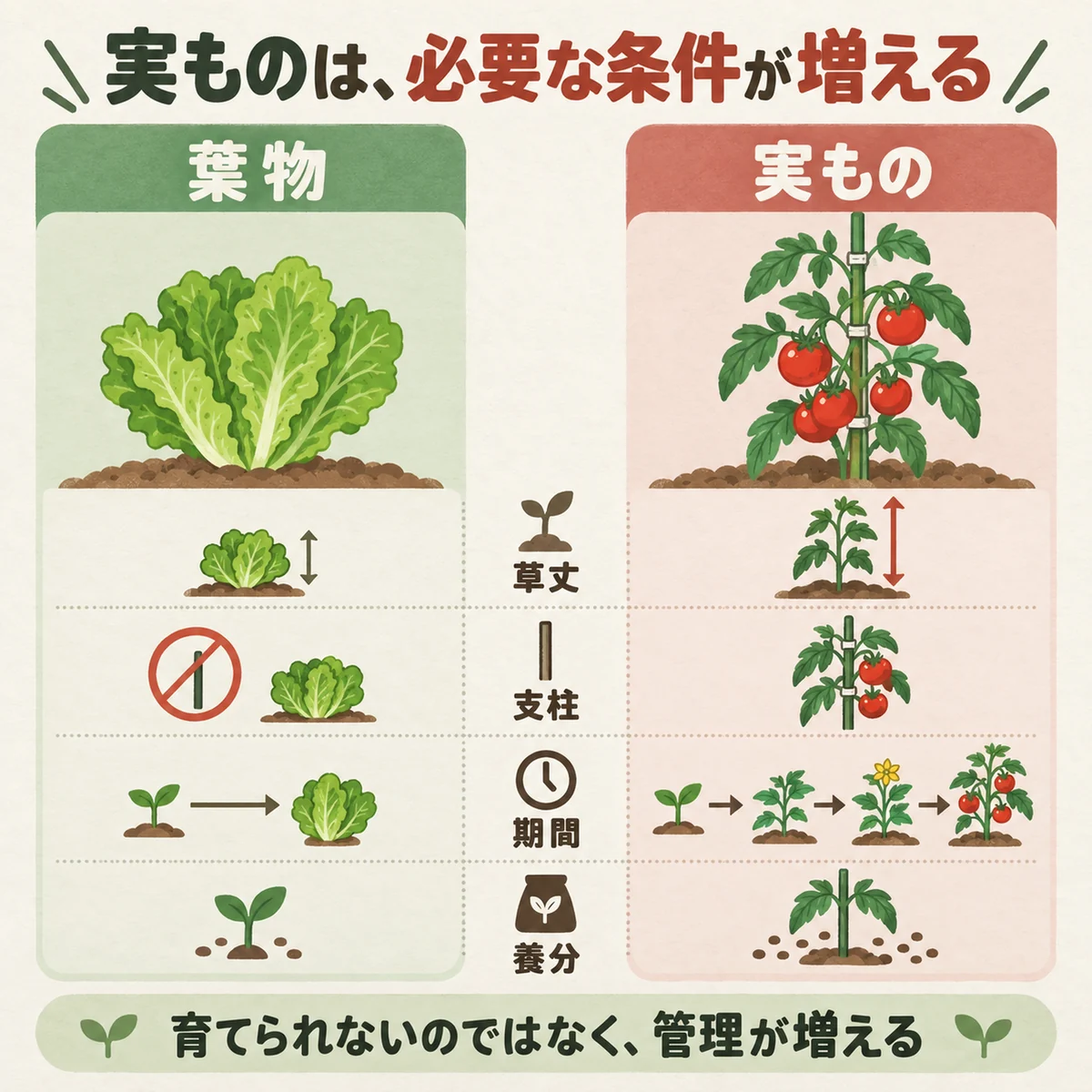 葉物と実ものの草丈・支柱・期間・養分を比較する図