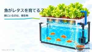 魚槽の魚と上段のレタスの間を養分の粒が移動する明るい3D図解