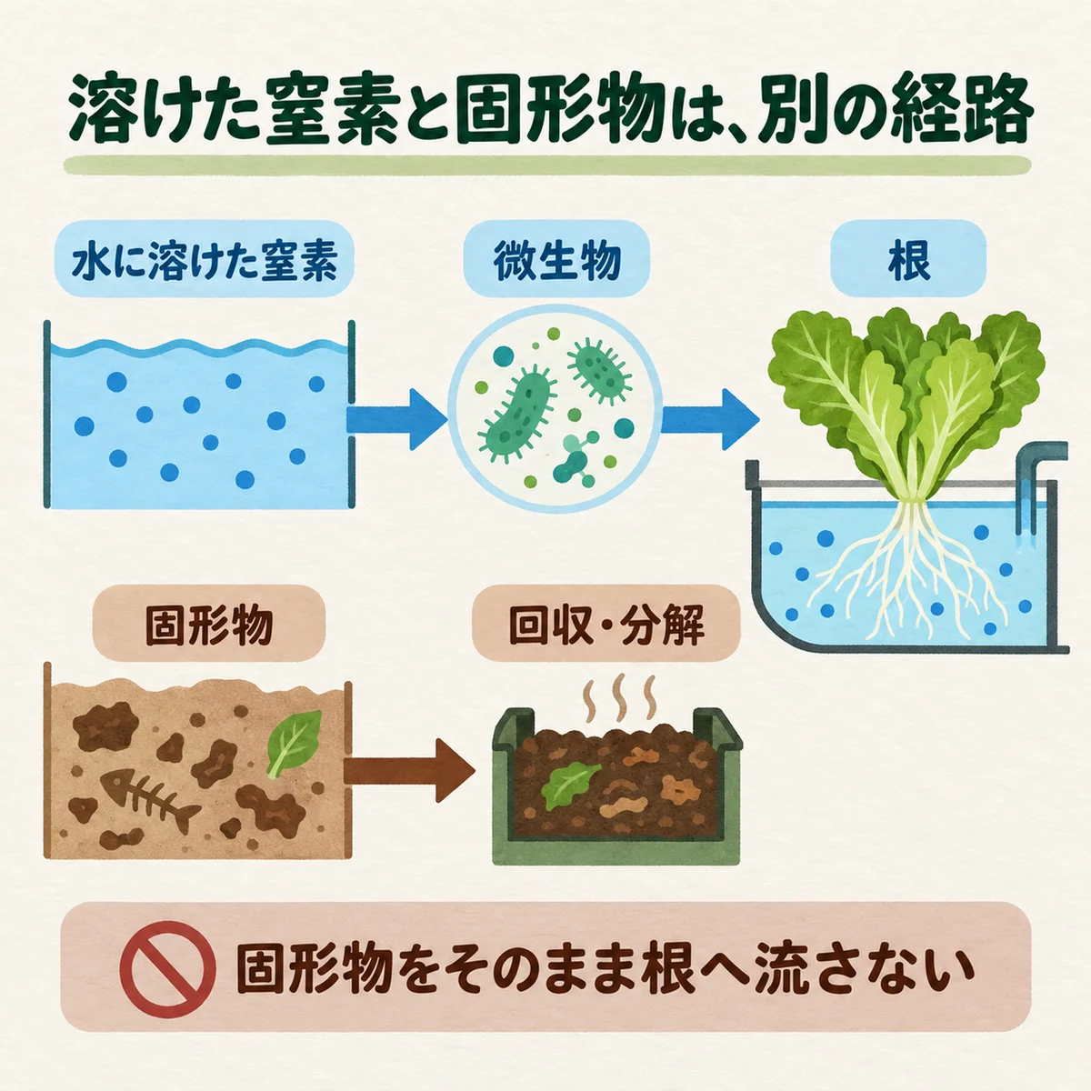 溶けた窒素の経路と、固形物の回収・分解経路を分ける図