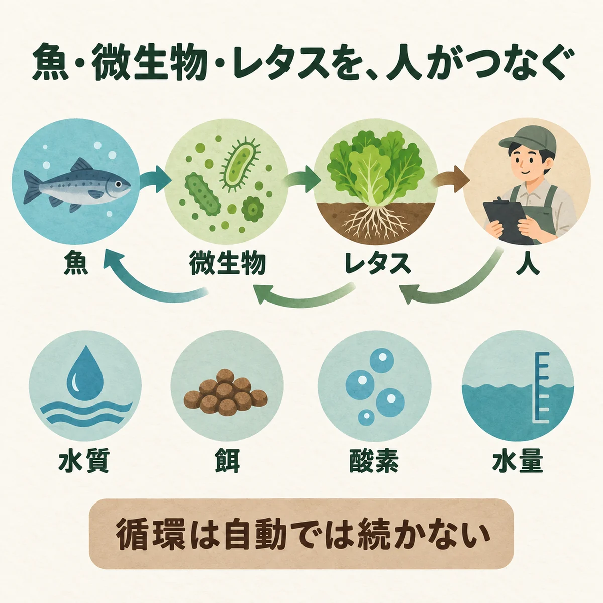 四者の役割と人の確認項目を統合した図