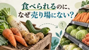 食べられる規格外野菜が、一般の売り場には並びにくいのはなぜか。