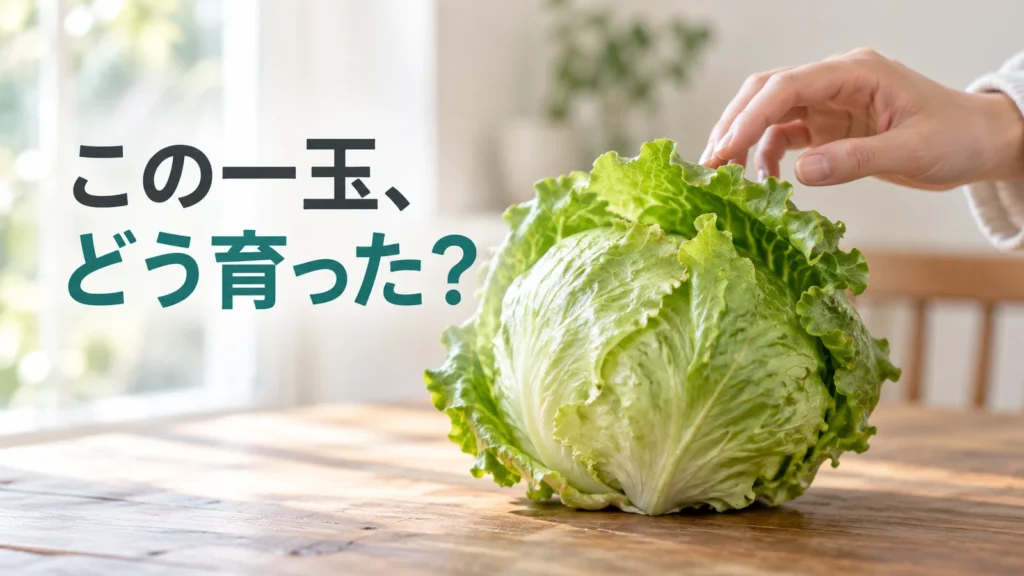 食卓の玉レタスに手を添え、この一玉がどう育ったのかと問いかける写実的な編集画像