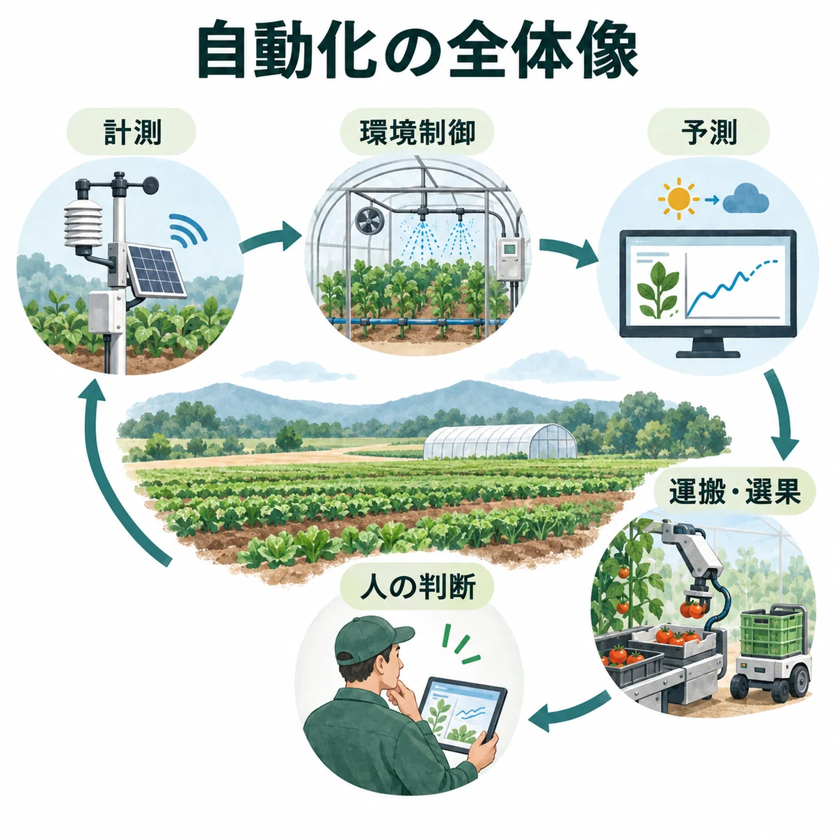計測、環境制御、予測、運搬・選果、人の判断の全体像