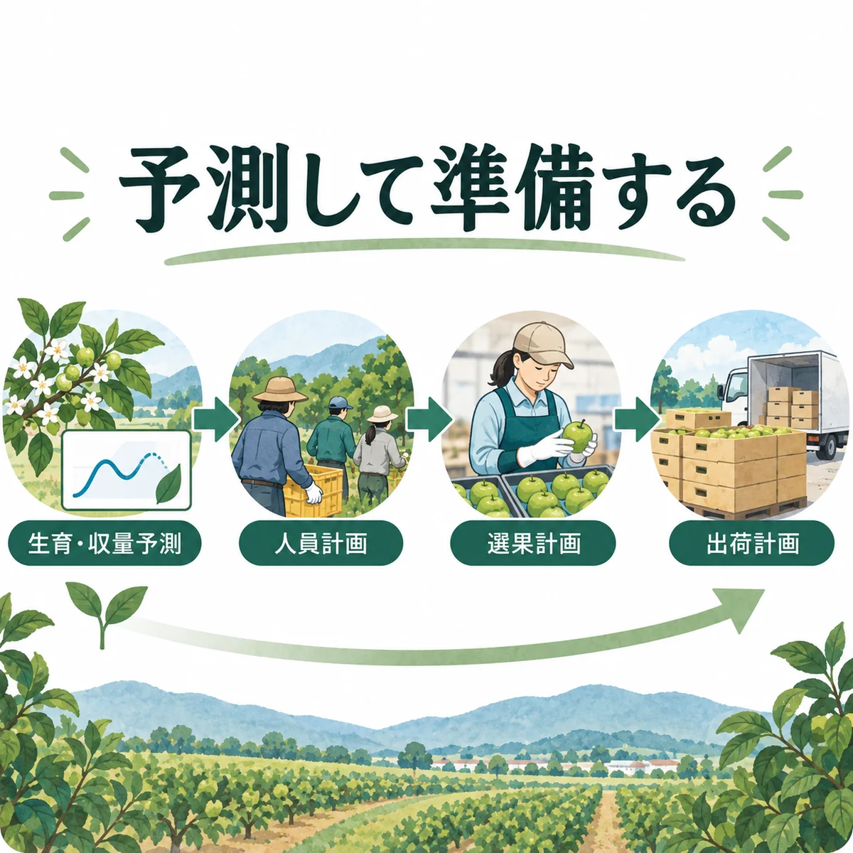生育・収量予測から人員、選果、出荷計画へつなぐ図