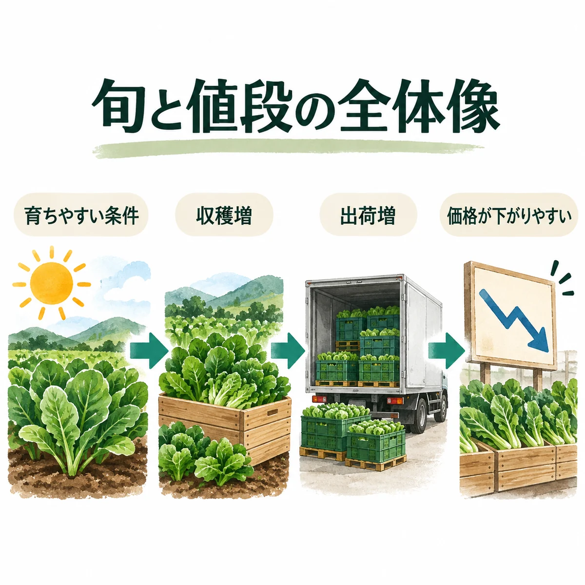 育ちやすい条件→収穫増→出荷増→価格が下がりやすい流れ