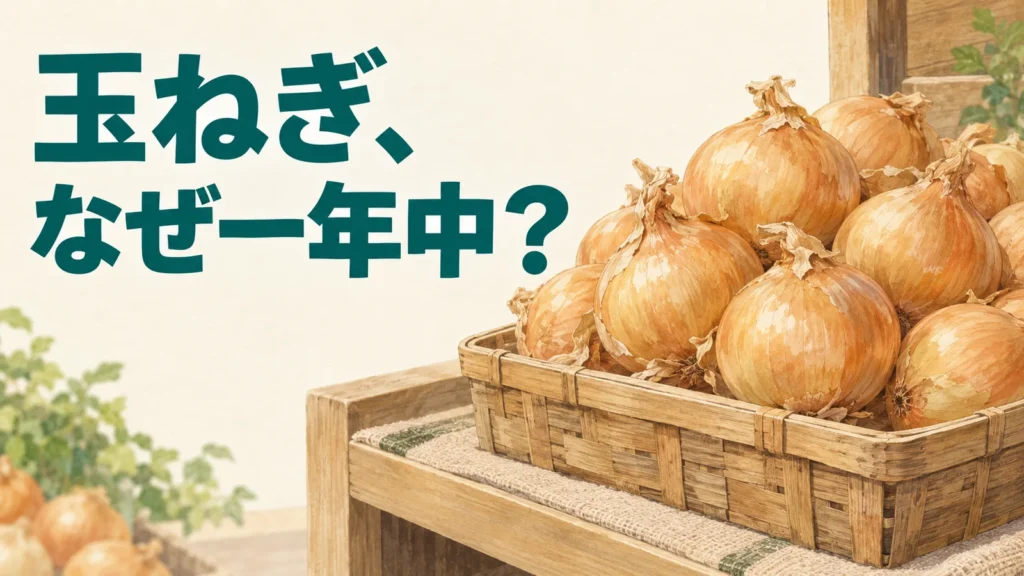 店頭に並ぶ玉ねぎを背景に一年中買える理由を問う編集画
