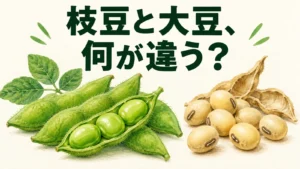 緑の枝豆の莢と成熟した大豆の種子を比べる疑問型アイキャッチ