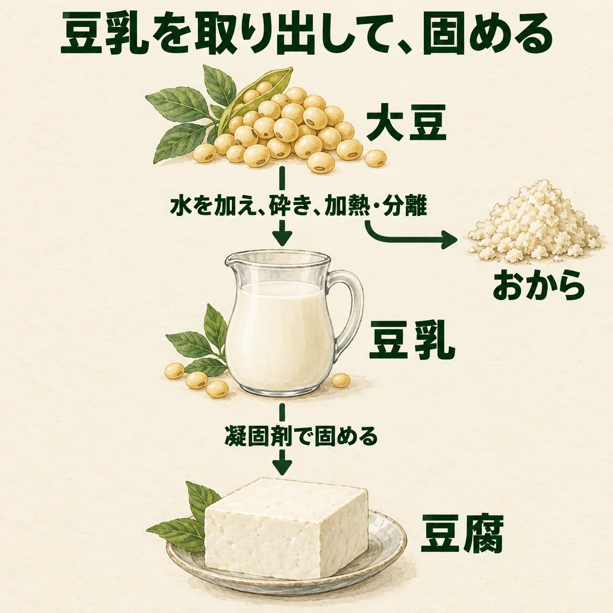 大豆から豆乳を取り出しおからが分かれ、凝固剤で豆乳を豆腐にする全体像