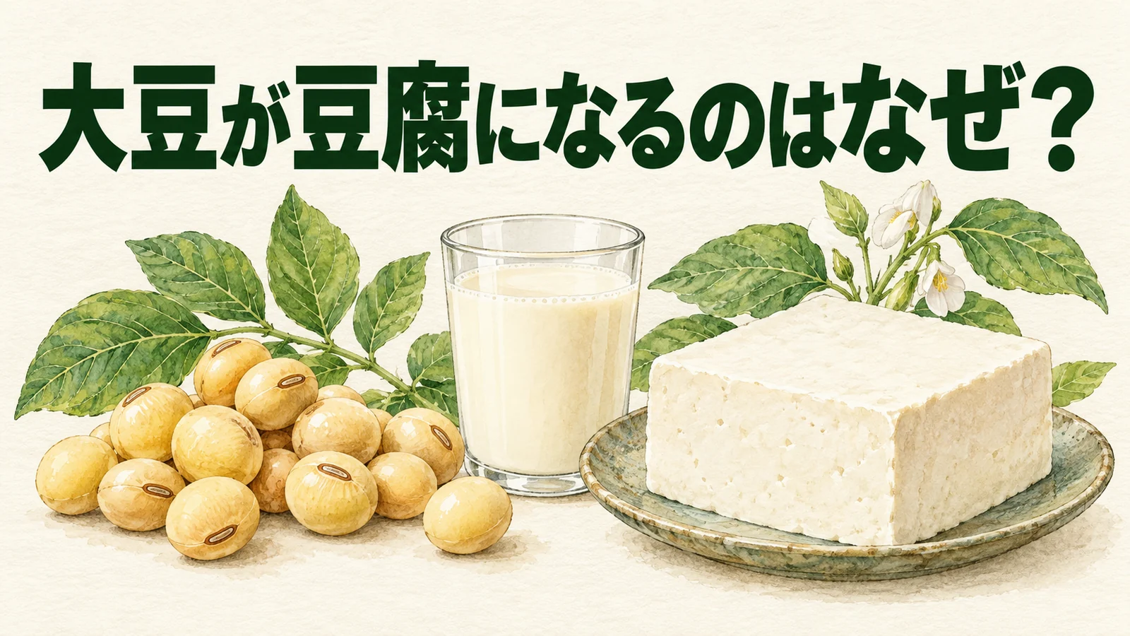 大豆、豆乳、豆腐を並べ、豆腐になる理由を問いかけるアイキャッチ